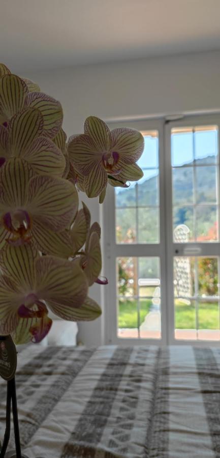 Rosi Room Giucano Экстерьер фото